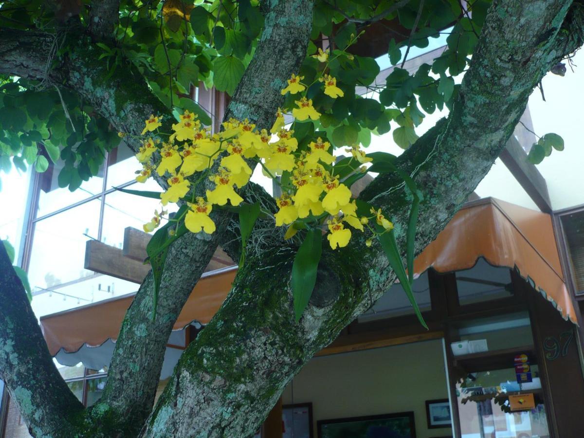 Pousada Do Rei Hotel Ubatuba Exterior photo